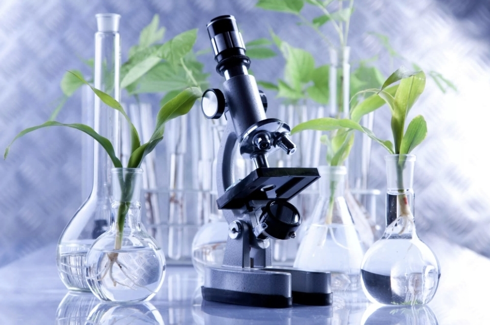 [Анна Павлычева] Общий анализ крови_ расшифровка (_0.png